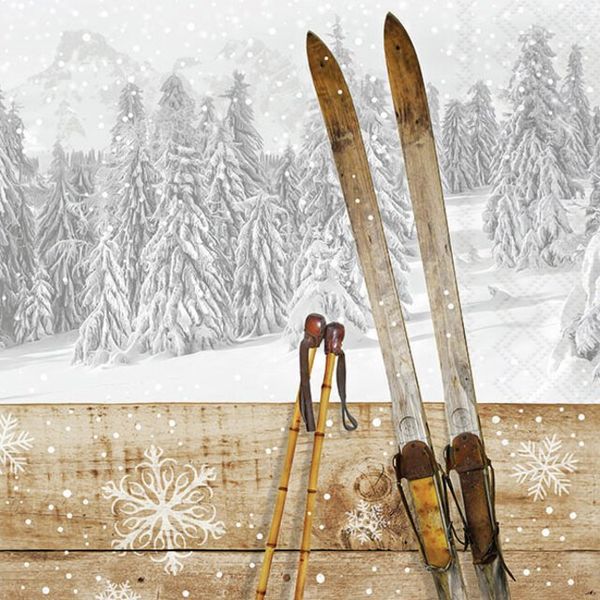 Servietter -  vinter - ski -skigard