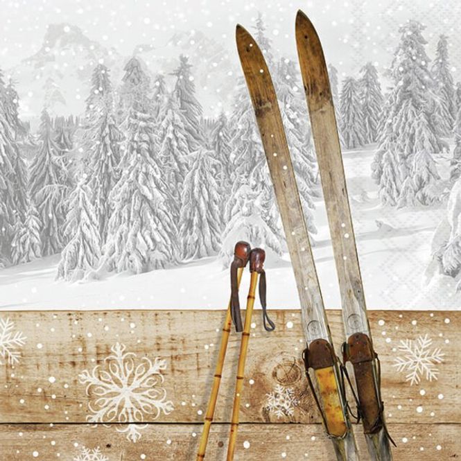 Hovedbilde Servietter -  vinter - ski -skigard